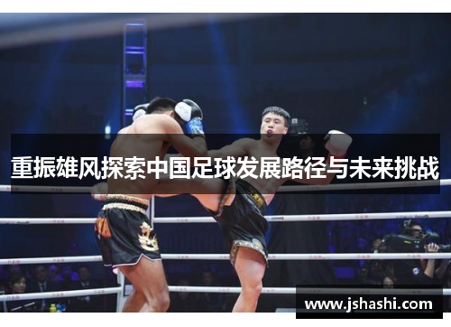 重振雄风探索中国足球发展路径与未来挑战